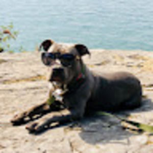 Meet your Posher, Krystal